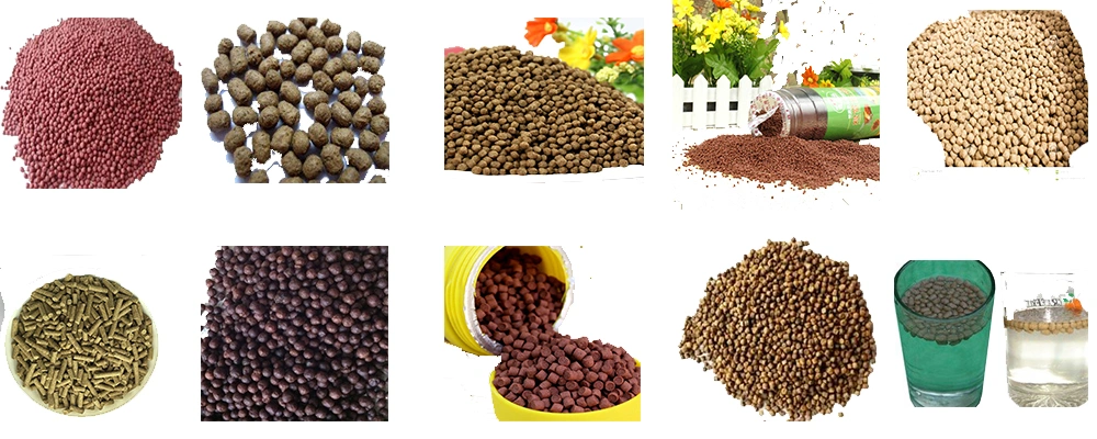 Manual Pellet Machine Fish Feed Floating Pet Fish Food Machinery Production Line