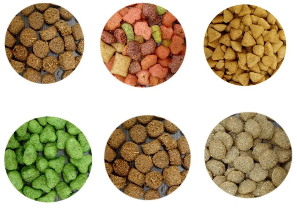 China Pet Food Processing and Dog Food Processing Equipment Supplier